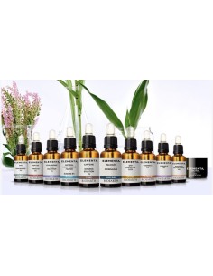 CONCENTRADO CAFEÍNA + GINSENG 3% / Olé belleza