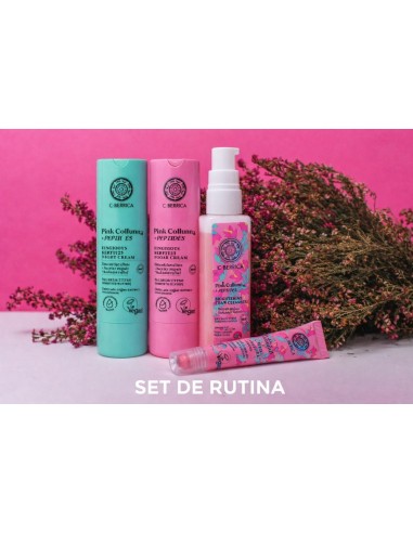 pack basic pink calluna